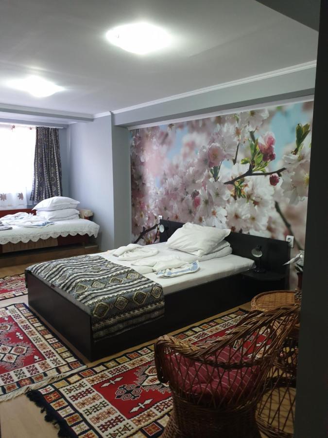 Vila Muntii Bucegi & Spa Bran  Ngoại thất bức ảnh