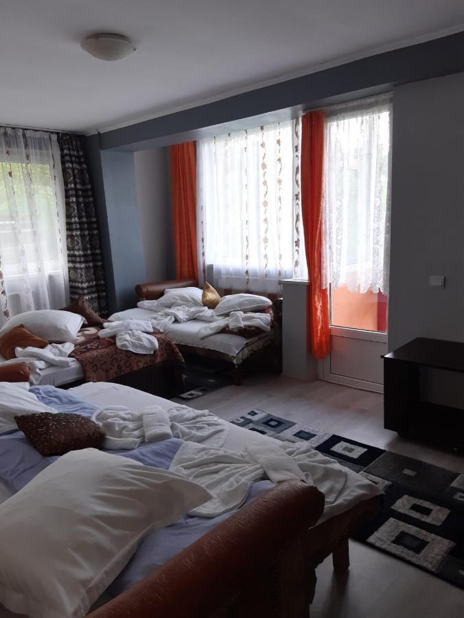 Vila Muntii Bucegi & Spa Bran  Ngoại thất bức ảnh