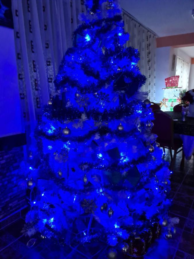 Vila Muntii Bucegi & Spa Bran  Ngoại thất bức ảnh