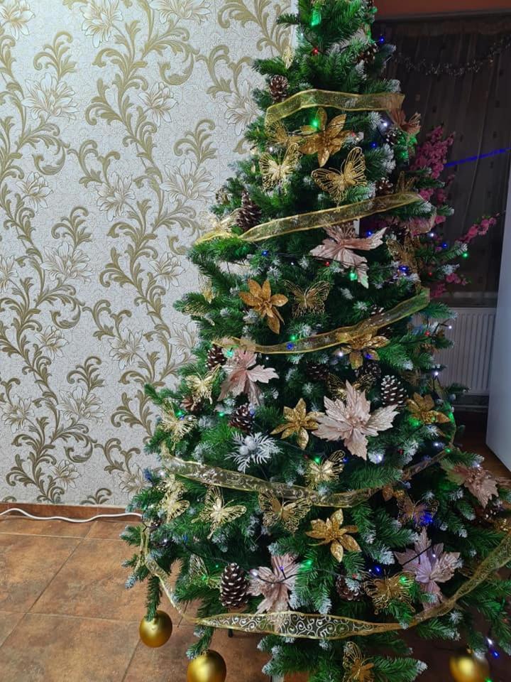 Vila Muntii Bucegi & Spa Bran  Ngoại thất bức ảnh