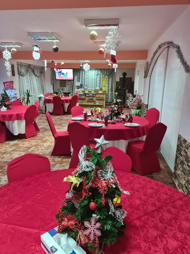 Vila Muntii Bucegi & Spa Bran  Ngoại thất bức ảnh