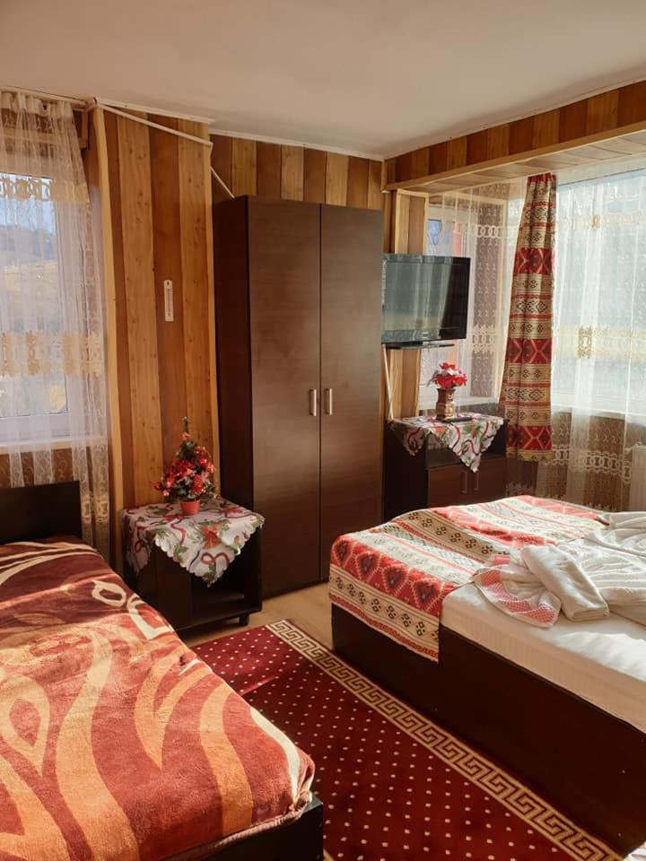 Vila Muntii Bucegi & Spa Bran  Ngoại thất bức ảnh
